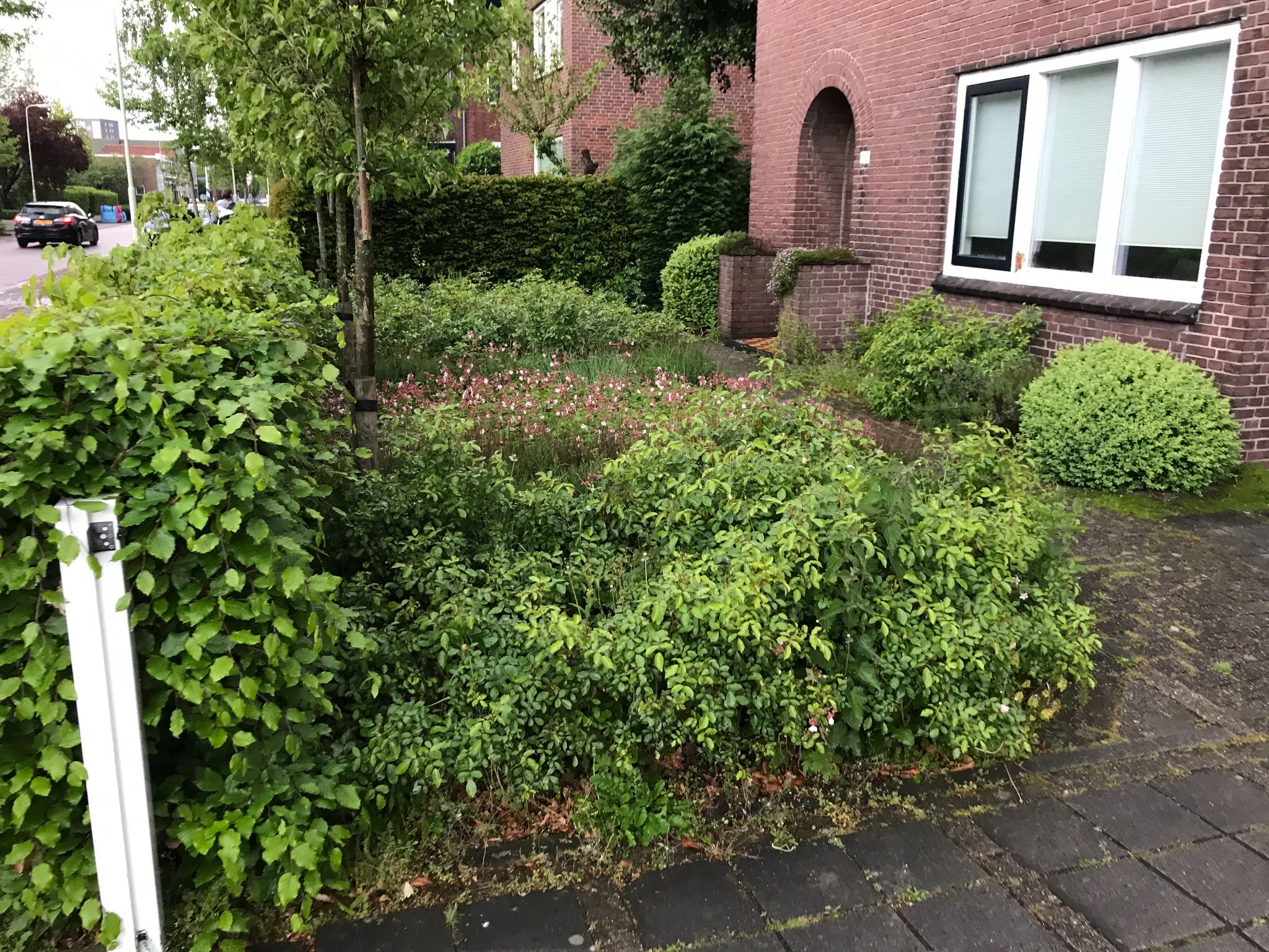 Tuin onderhoud Werkspot