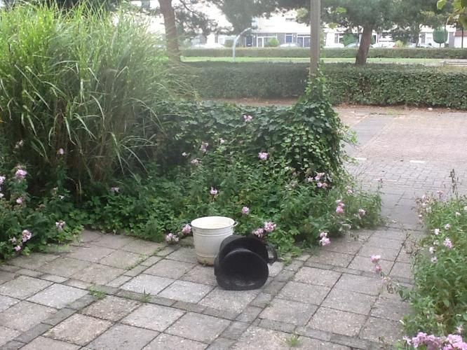 Tuin opknappen Werkspot