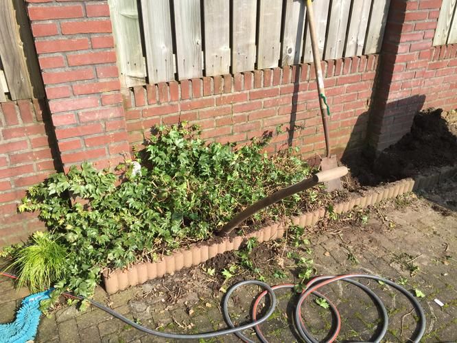 wortels verwijderen tuin