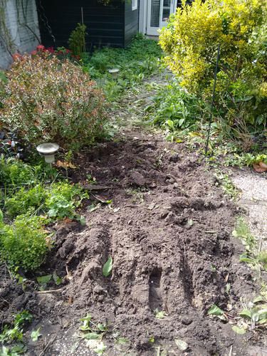 bestraten ca 6 m2 tuin gewassen grindtegels 50x50 met randje kl...