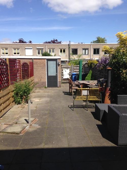 Tuin(tegels) mos en onkruidvrij maken plus reinigen Werkspot