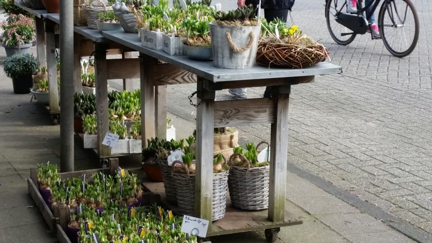 tuinwerktafel maken Werkspot