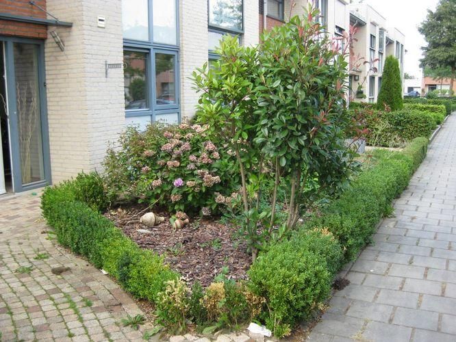 Beplanting uit tuin halen/tuin leeghalen (15m2) Werkspot