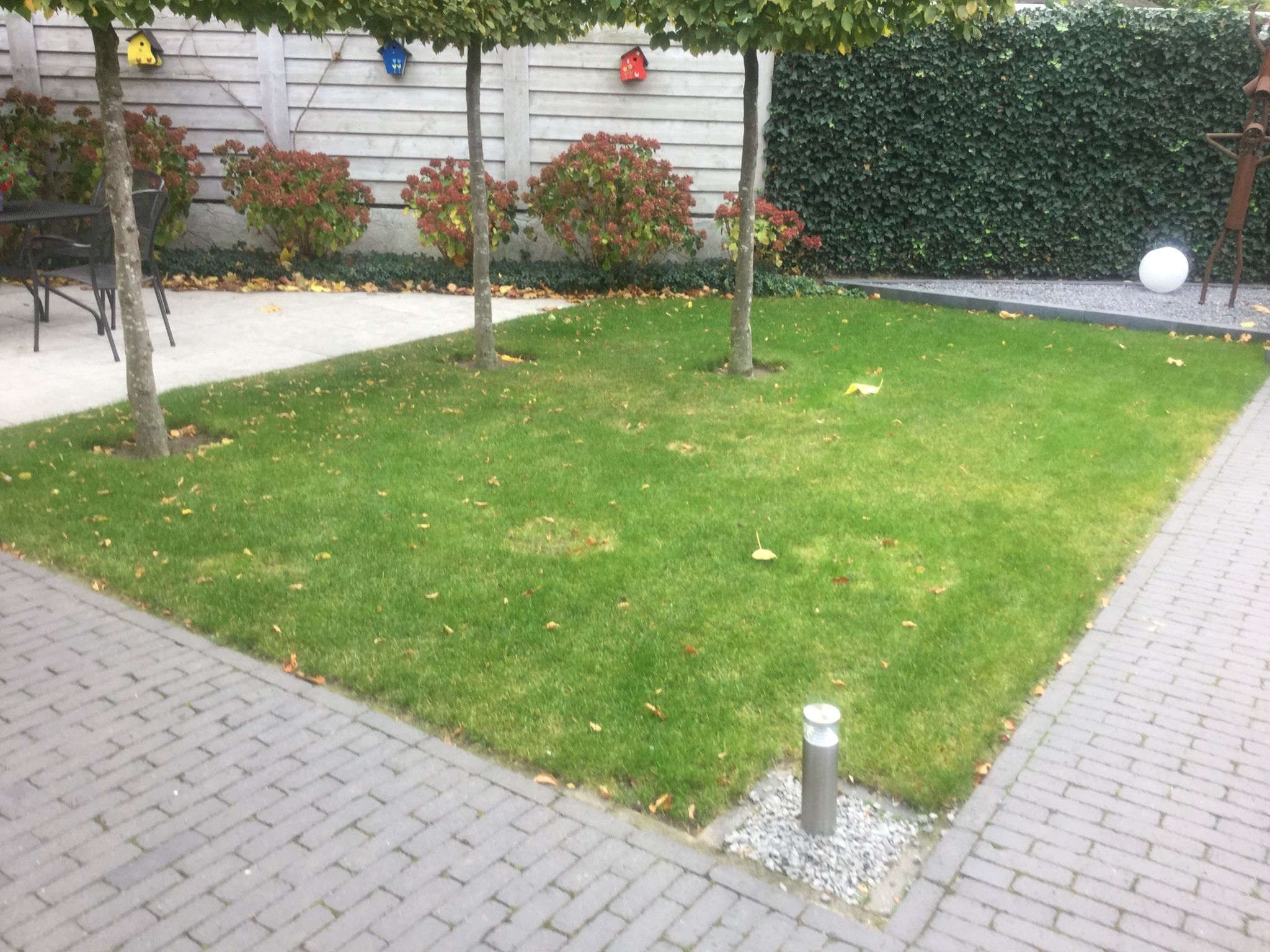 Afgraven tuin Werkspot