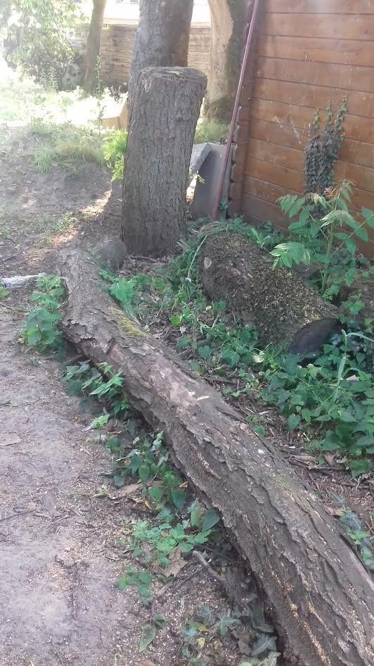 Afvoeren boomstammen, hout en 2 bielzen Werkspot