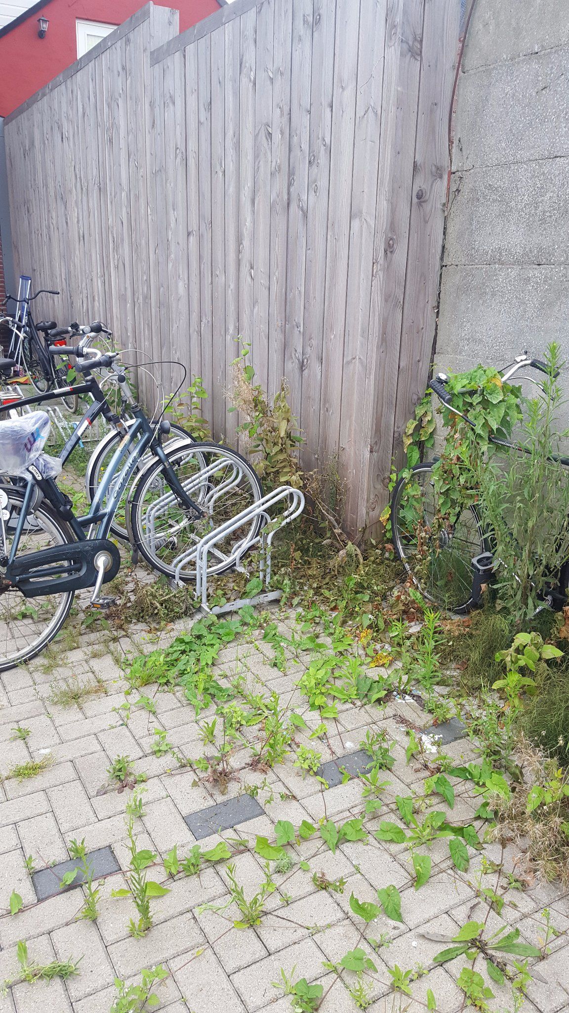 Parkeerterrein onkruidvrij maken Werkspot