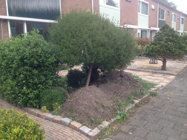 Tuin Verwijderen van planten, wortels en grond Werkspot