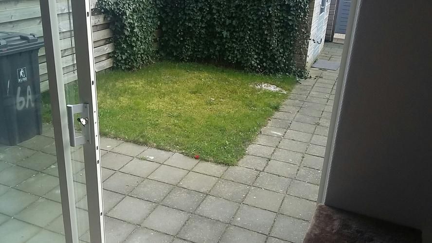 Tuin betegelen Werkspot