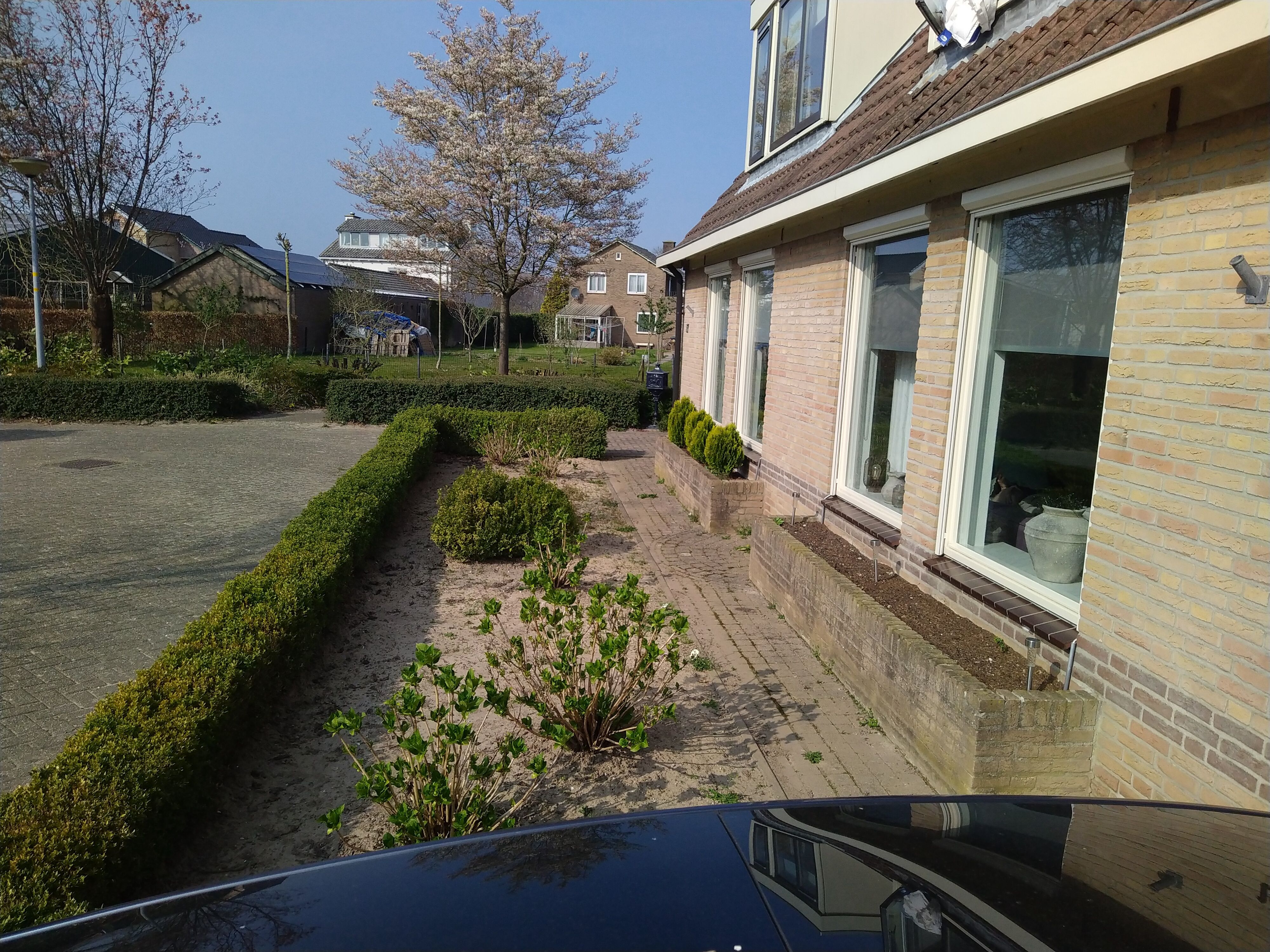 Tuin Aanleggen M Nieuwe Tuin Aanleggen Werkspot