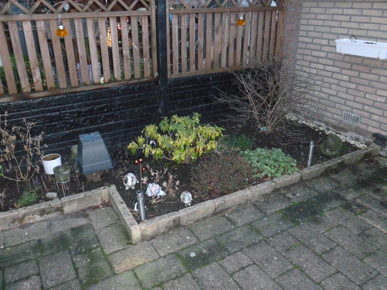 Tuin opknappen Werkspot