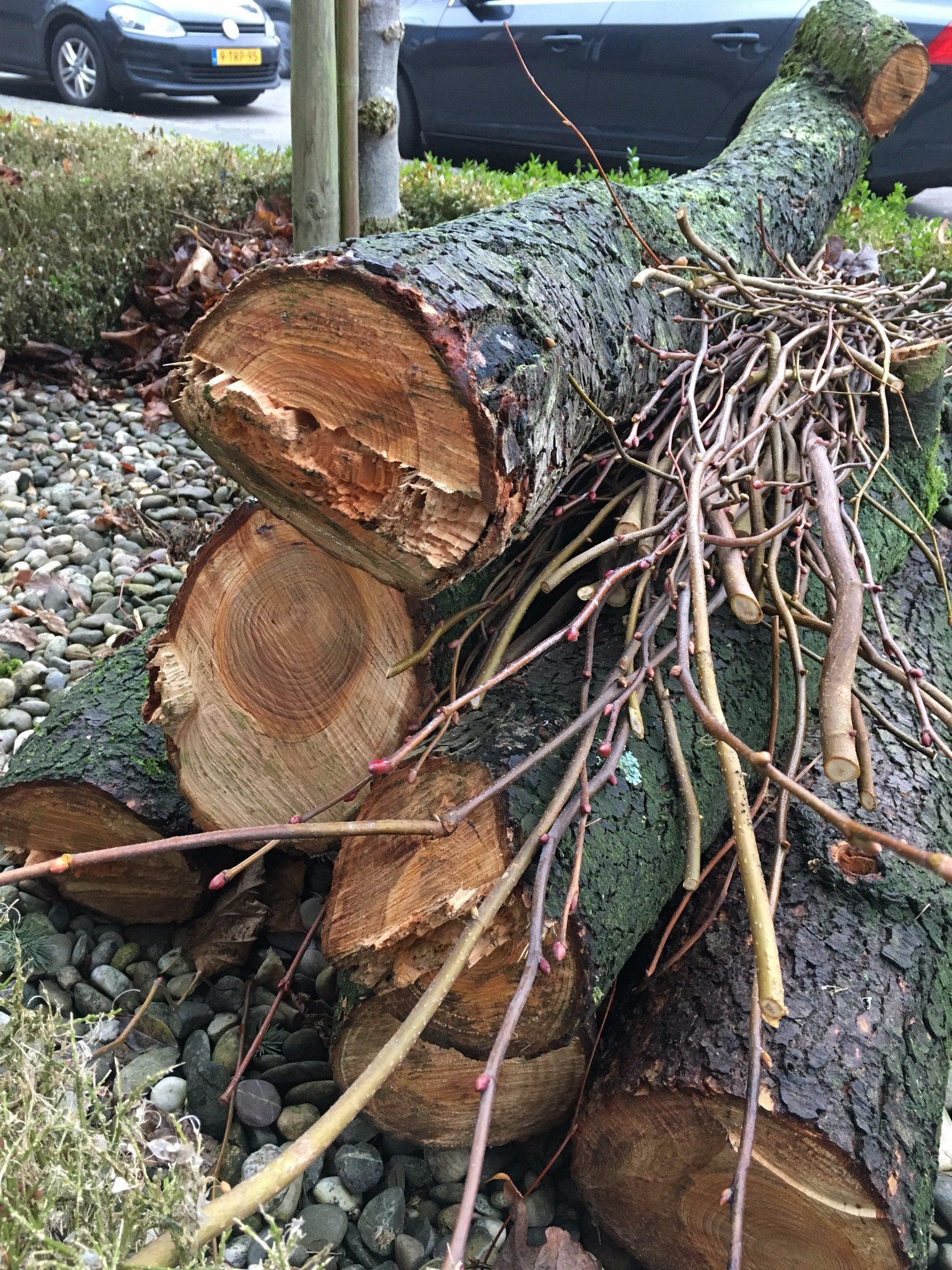 Hout kloven Werkspot