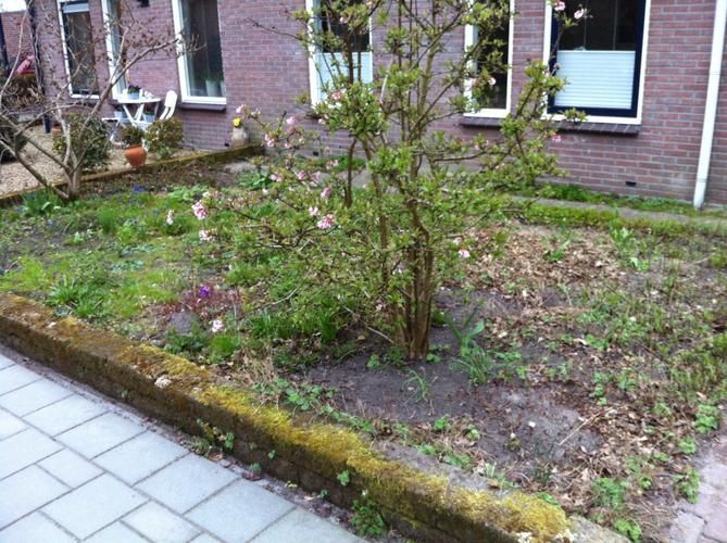 Tuin omspitten Werkspot