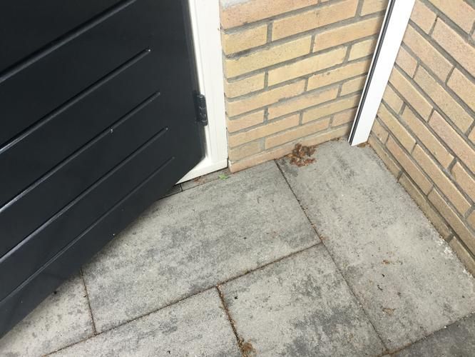 Vervangen oude houten vloer door een combinatievloer met betonnen T