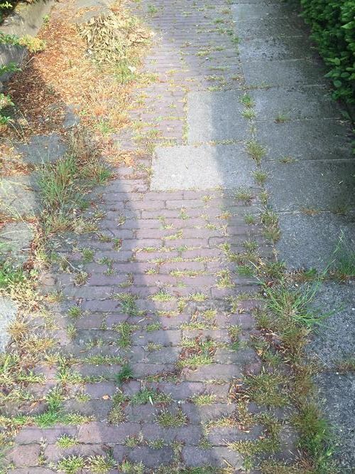 Tuinieren en onkruidvrij maken tuin Werkspot