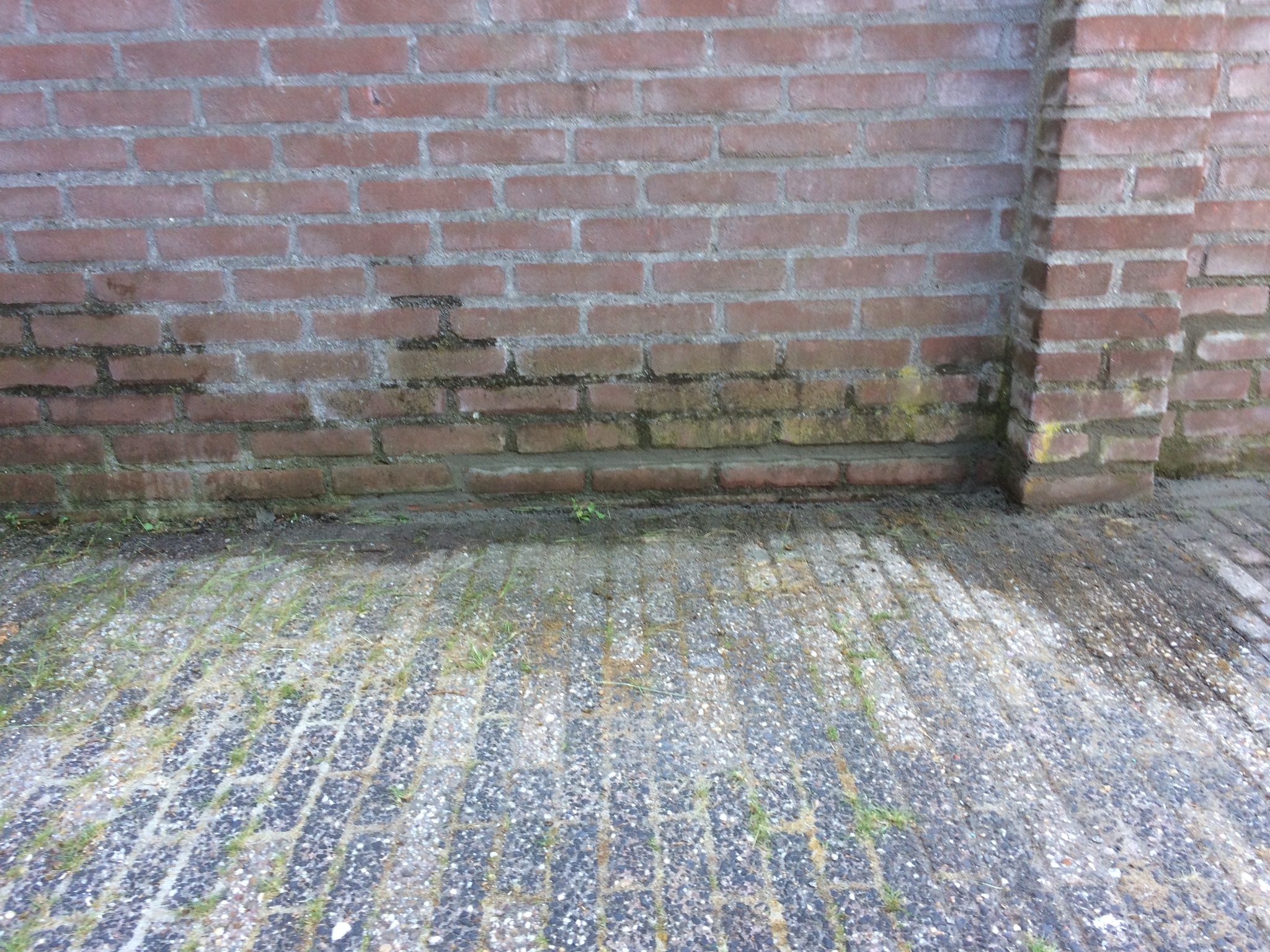 Voegen muur Werkspot