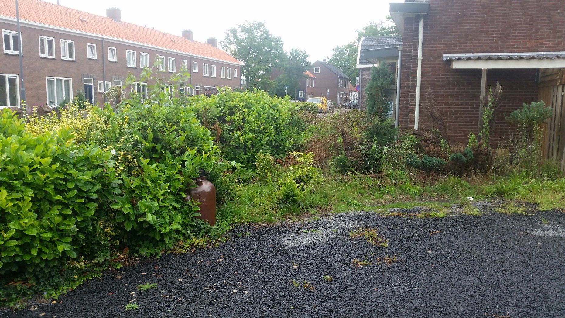 opknappen tuin (verwijderen beplanting) Werkspot