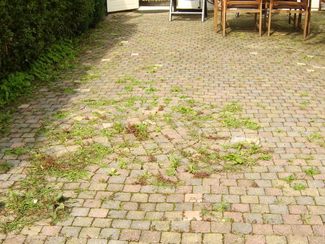 betegelde tuin onkruid vrij maken Werkspot