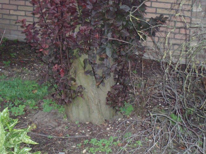 tuin om spitten en paar stronken en wortels verwijderen Werkspot