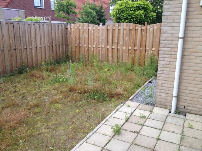 Onkruidvrij maken tuin +/ 40m2 Werkspot