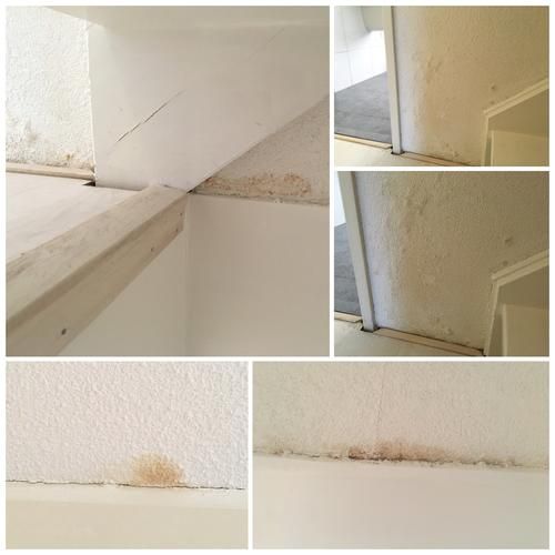 Waterschade Muur/plafond Herstellen - Werkspot