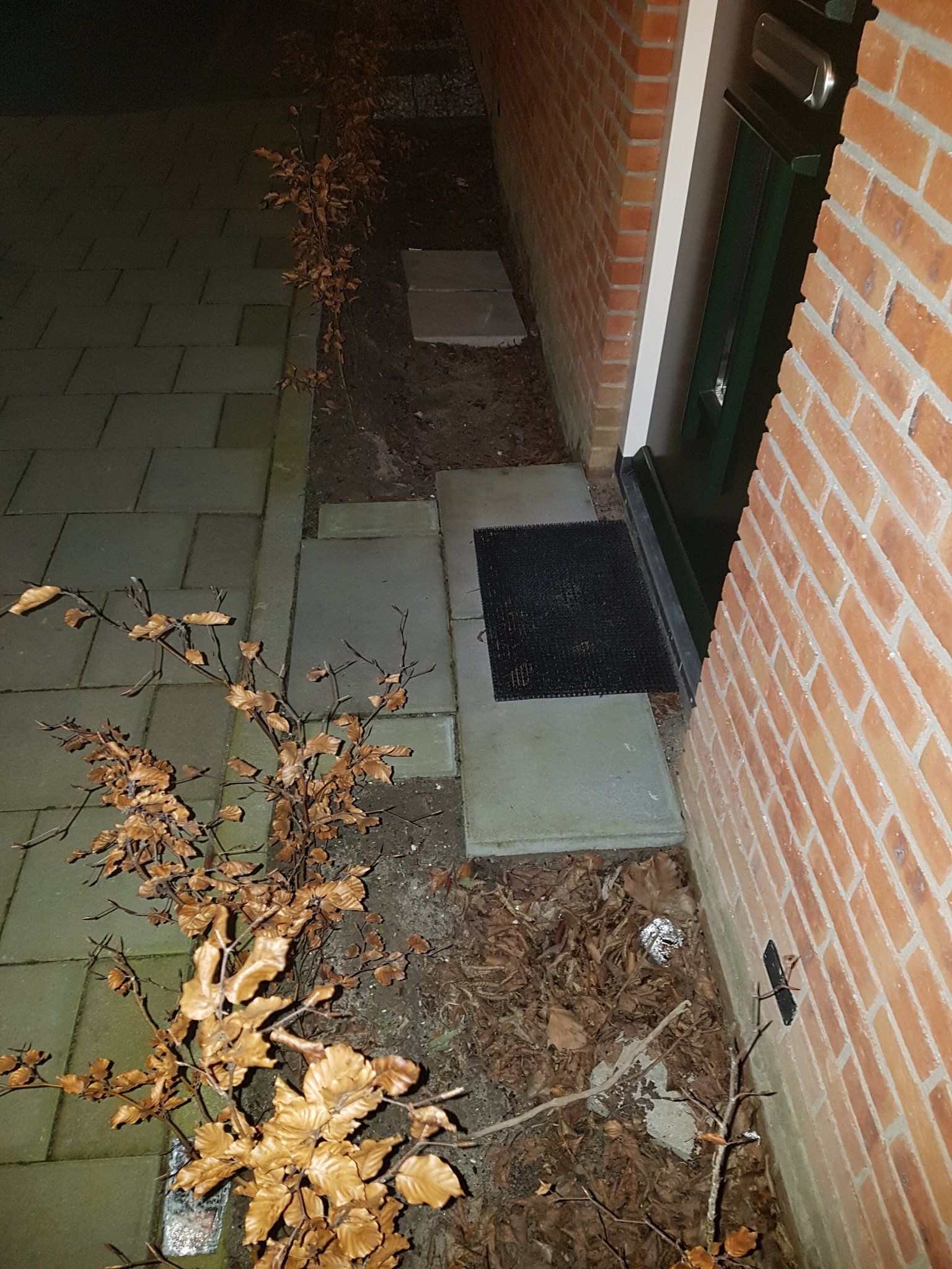 Tuin bestraten Werkspot