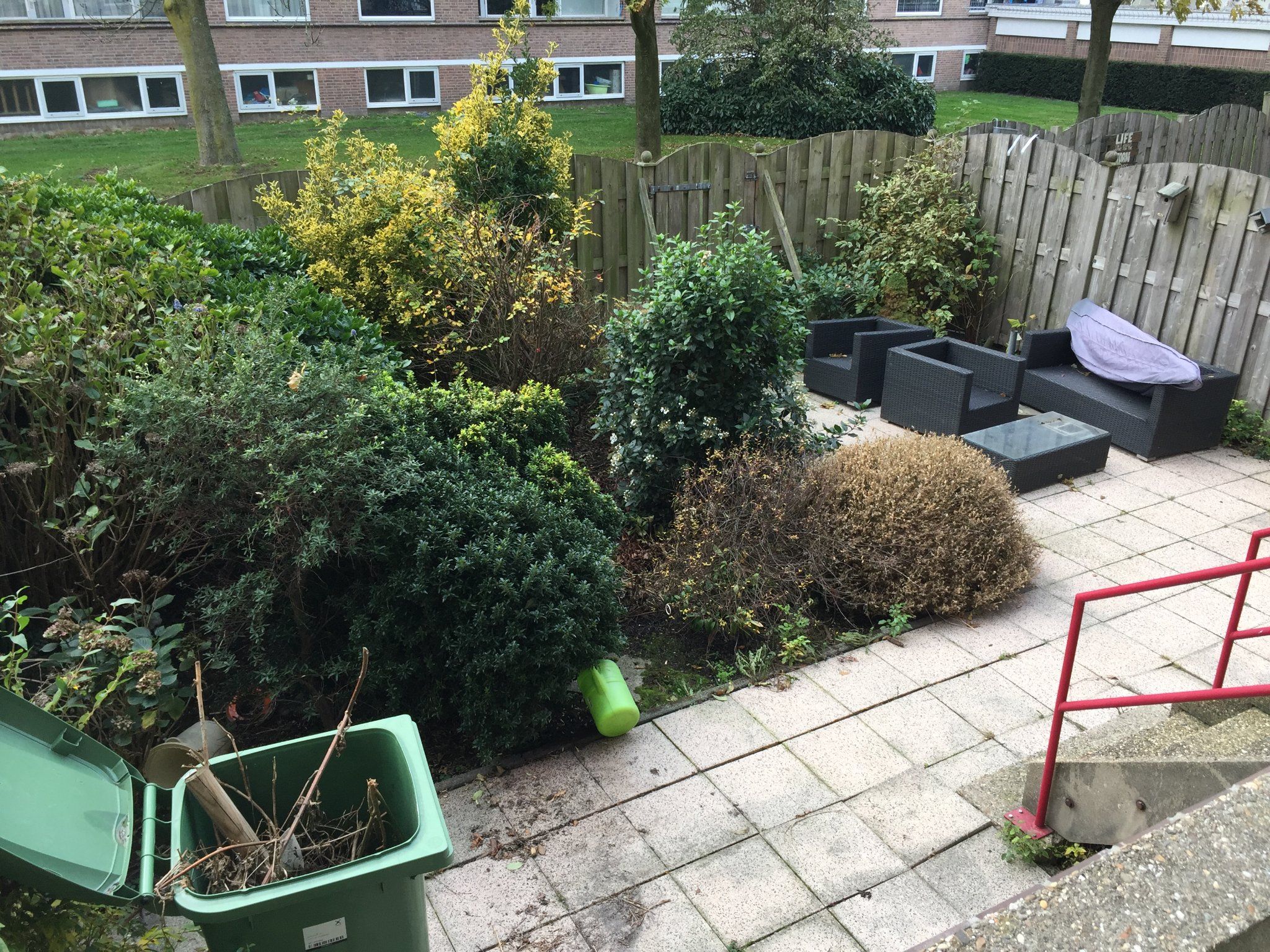 Tuin toonbaar maken voor verkoop Werkspot