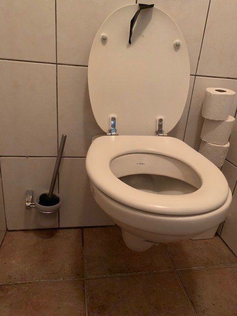 Toilet Repareren Gat In Wc Pot Dus Vervangen Inclusief Regele Pot