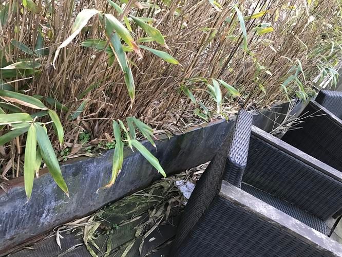 Dakterras houten vlonders schoonmaken Werkspot