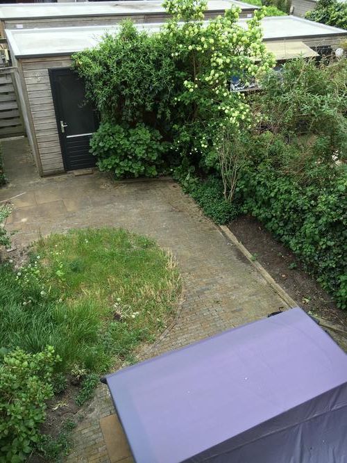 Tuin schoonmaken en verwijderen van planten/gras Werkspot