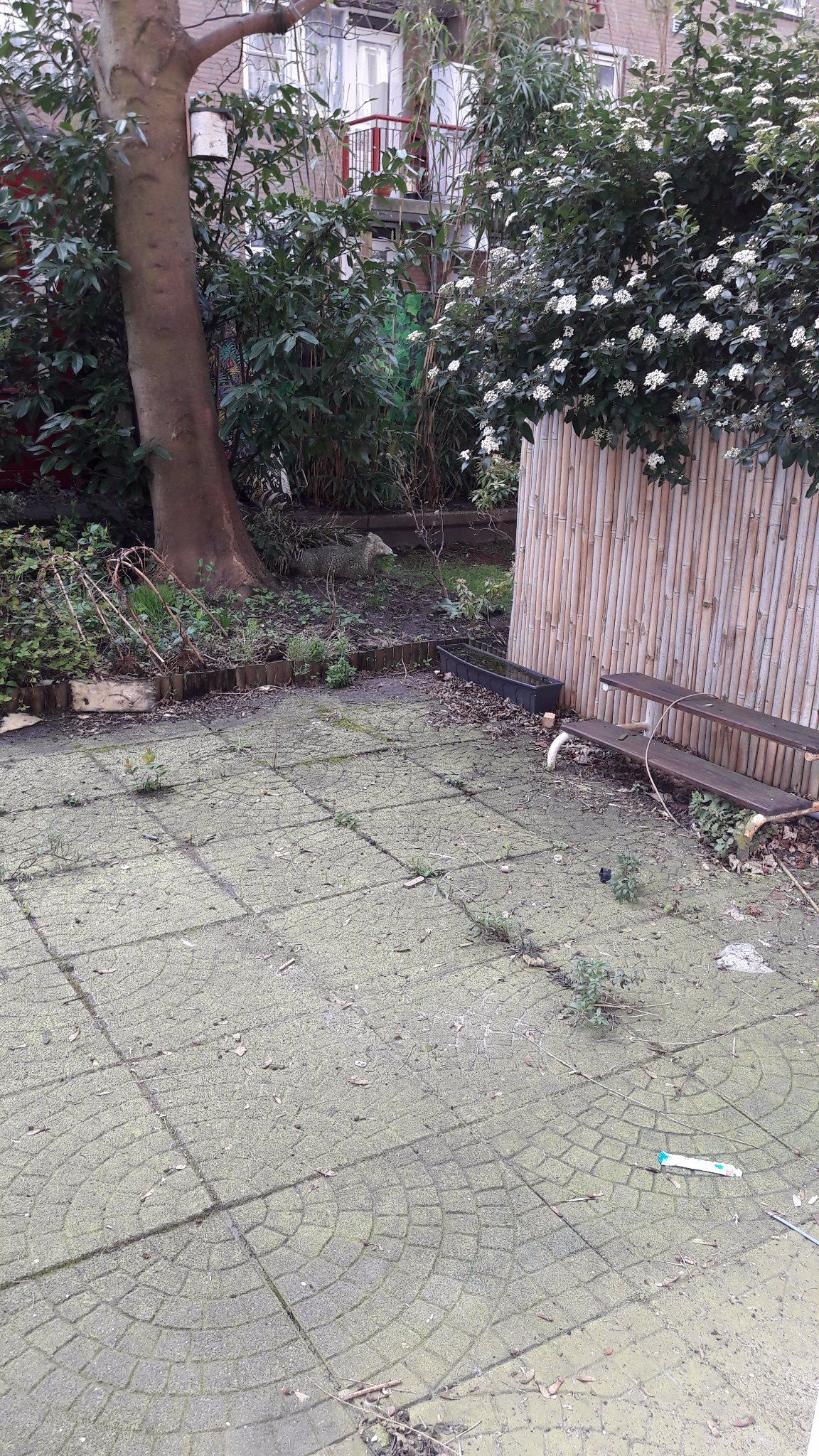 Tuin opknappen Werkspot