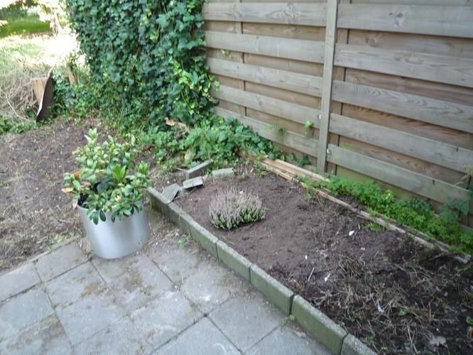 Kleine tuin bestraten + schutting plaatsen Werkspot