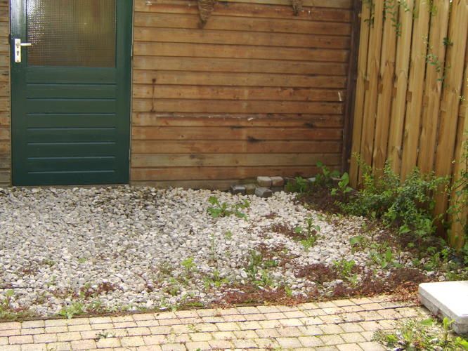 betegelde tuin onkruid vrij maken Werkspot