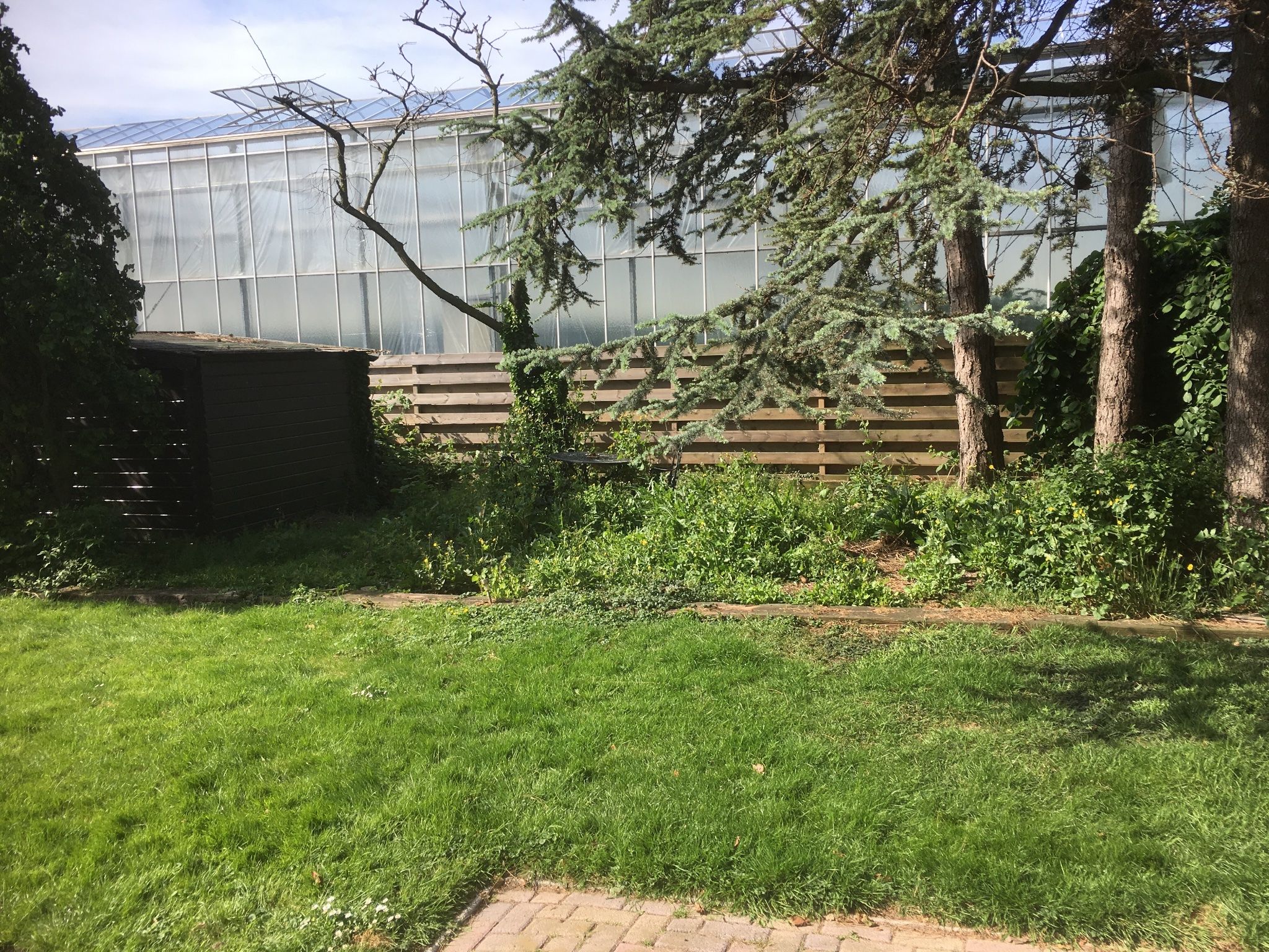 Tuin opknappen honselersdijk Werkspot