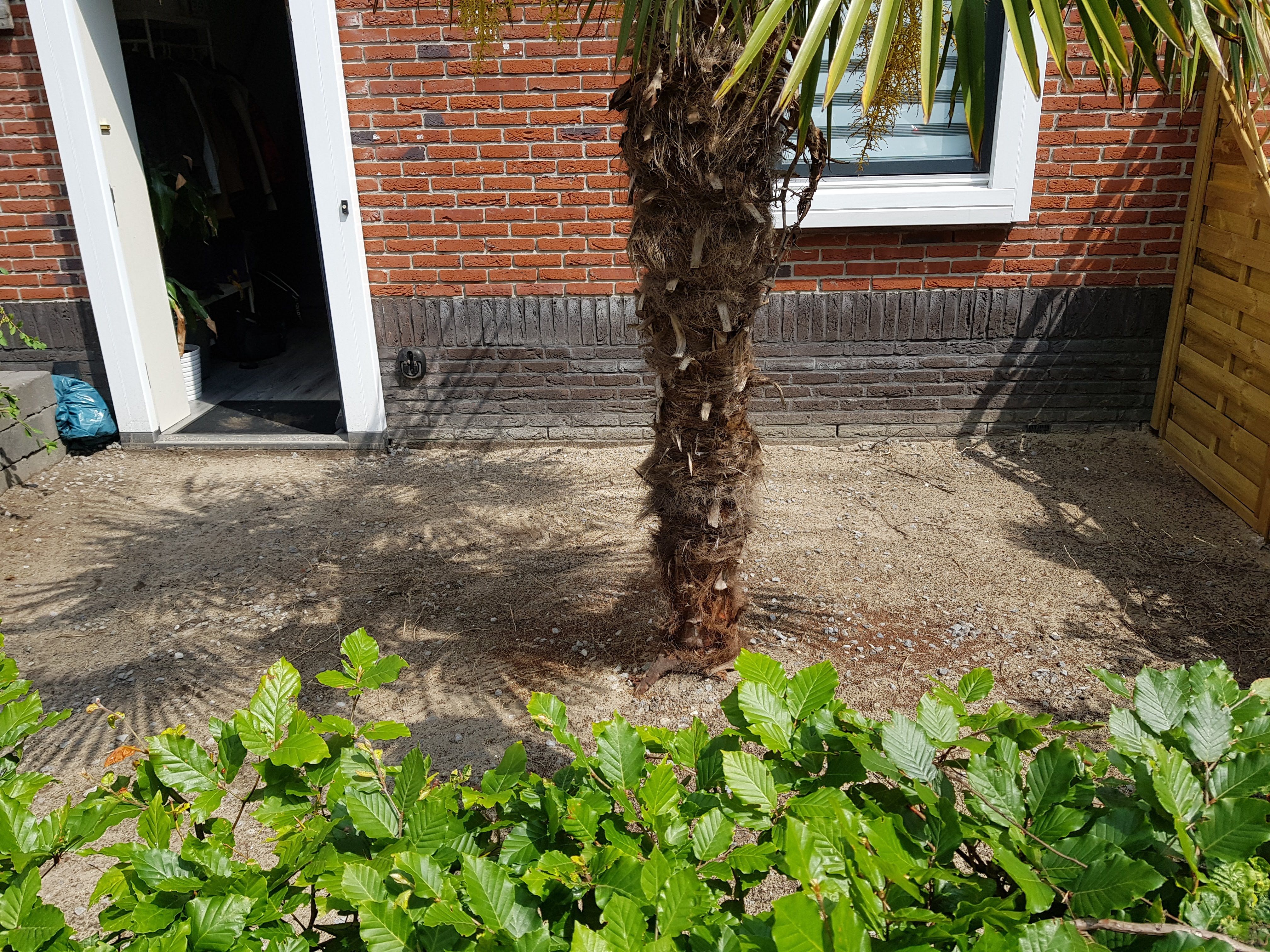 Bestrating 16 m2; Tuin of Patio; Tegels Werkspot