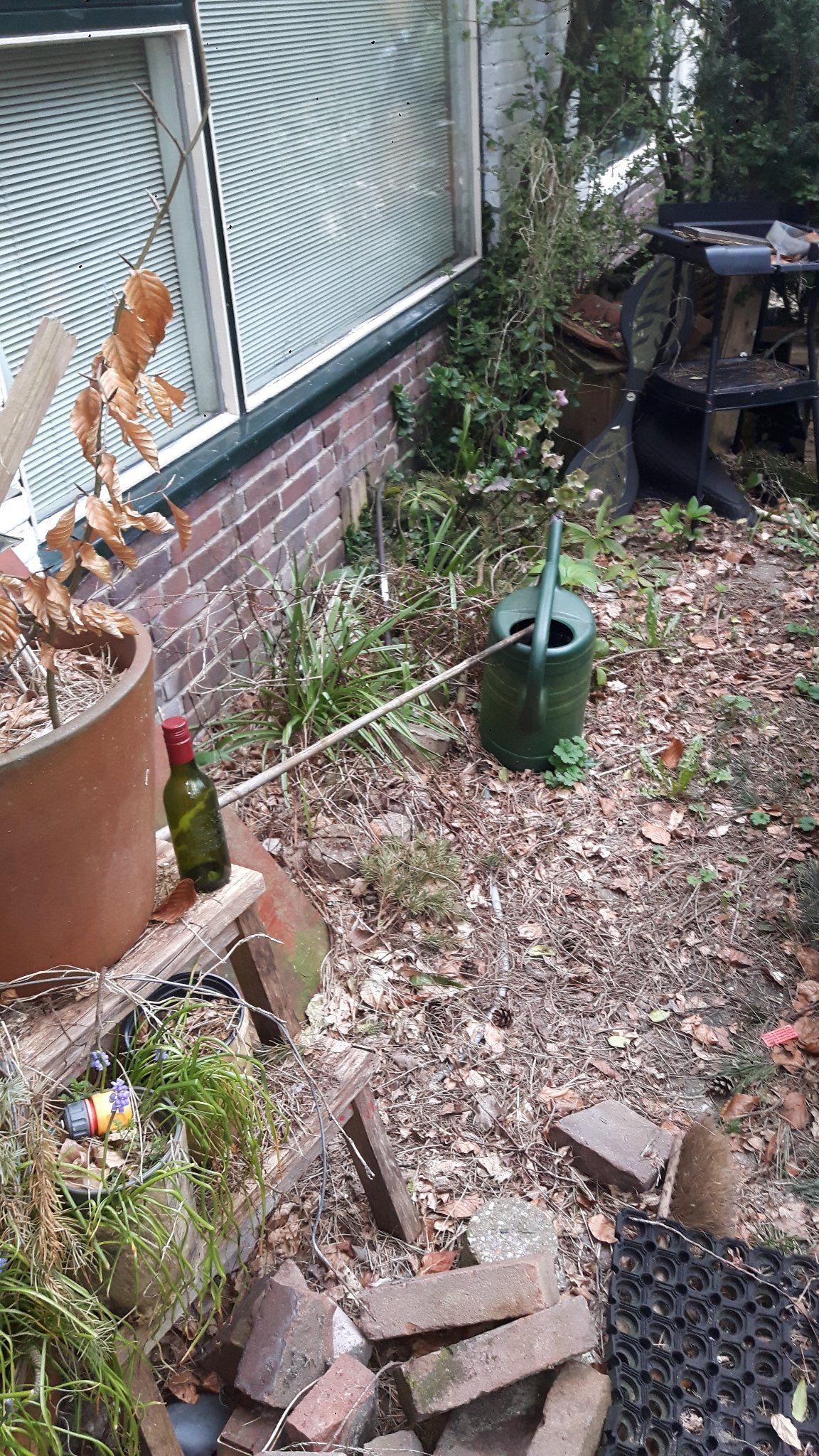 Tuin leegruimen en schoonmaken Werkspot