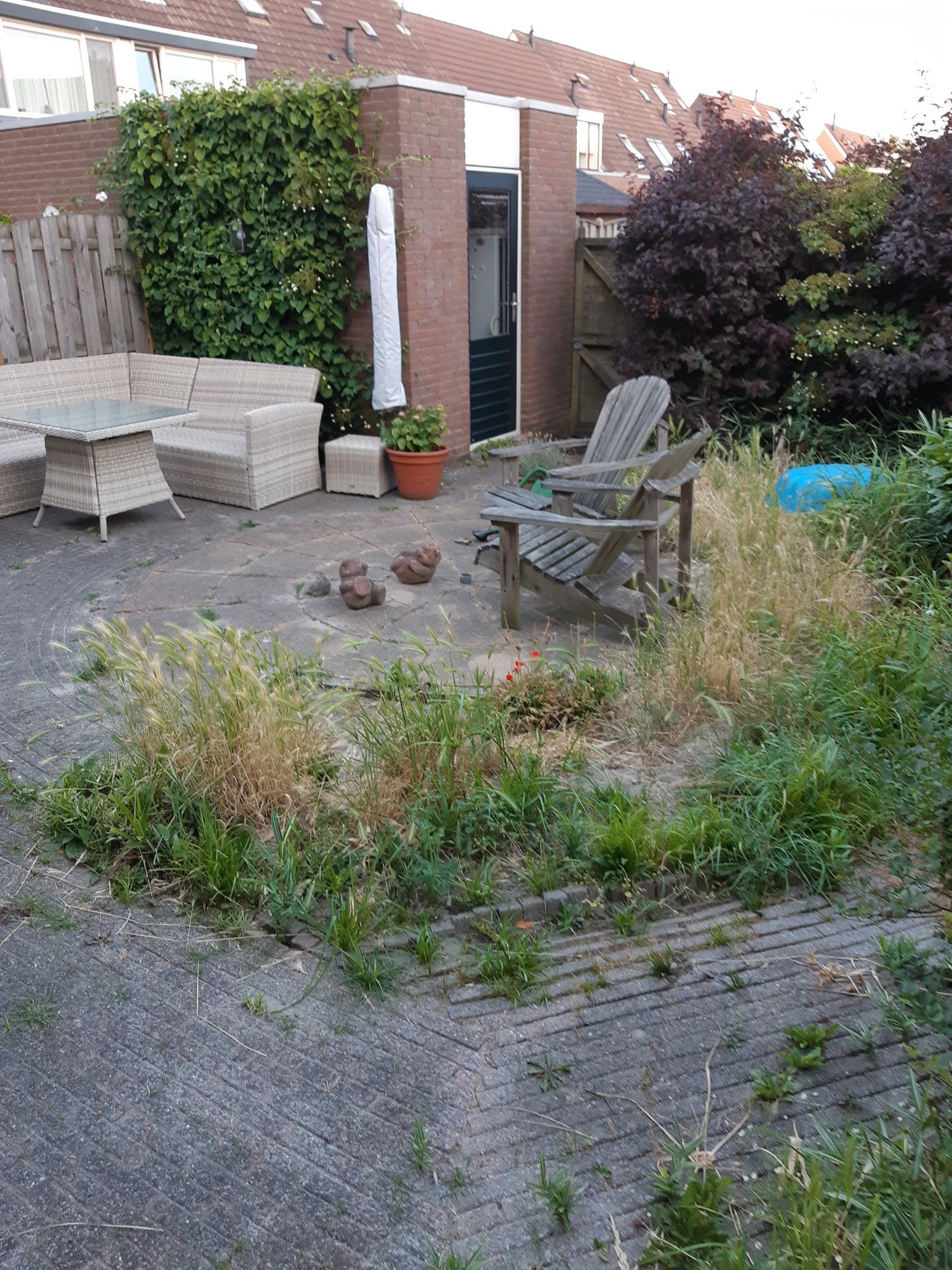 Tuin onkruidvrij maken Werkspot