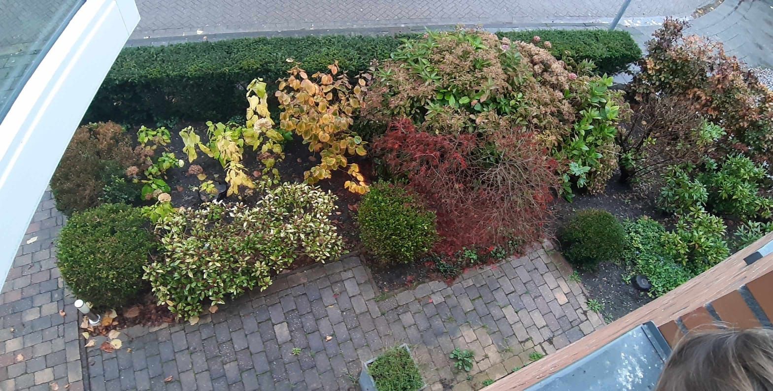 Tuinonderhoud Winterklaar maken tuin. Snoeien, onkruid verwijderen