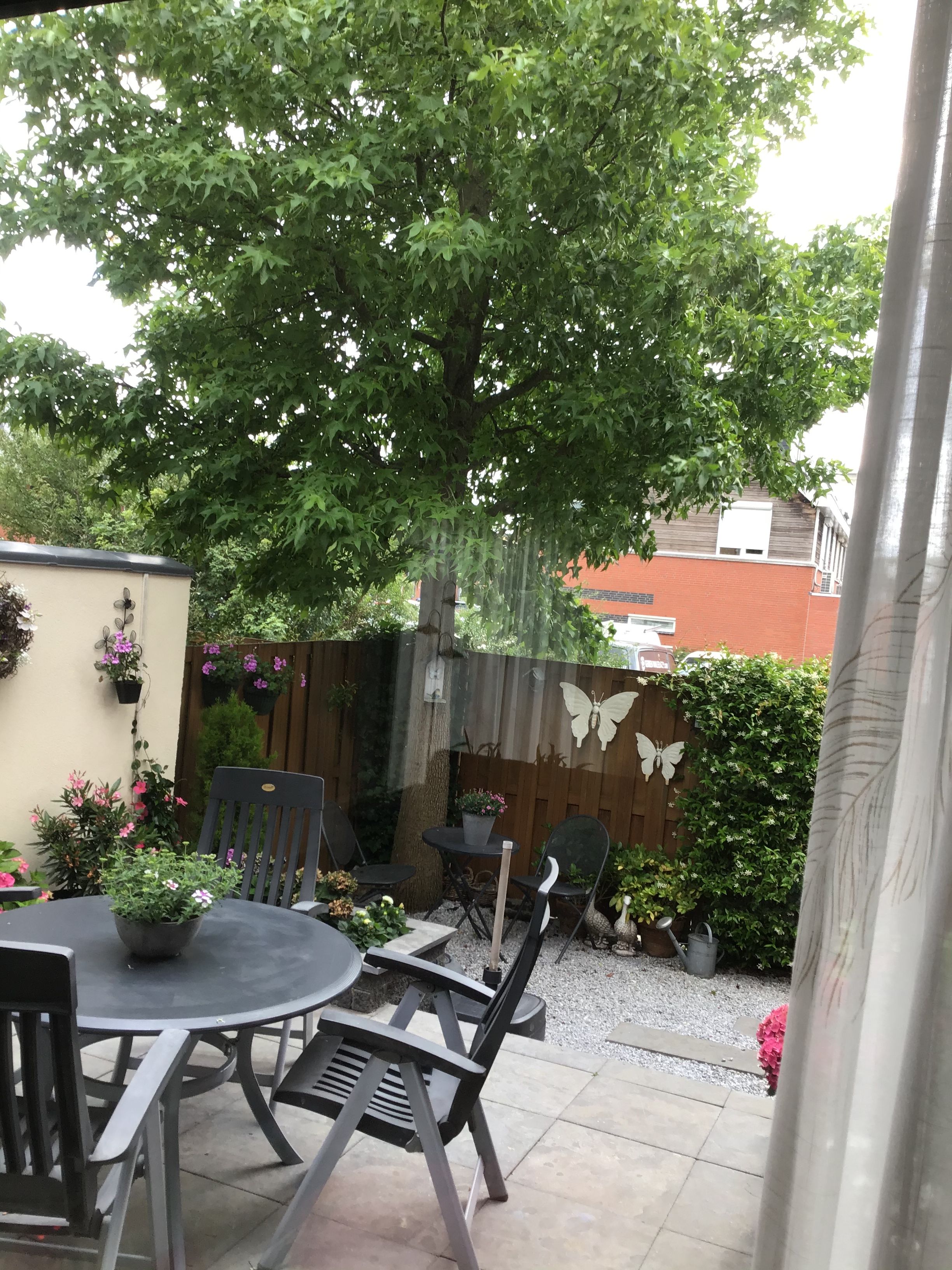 Tuin Boom snoeien; 1 boom Werkspot