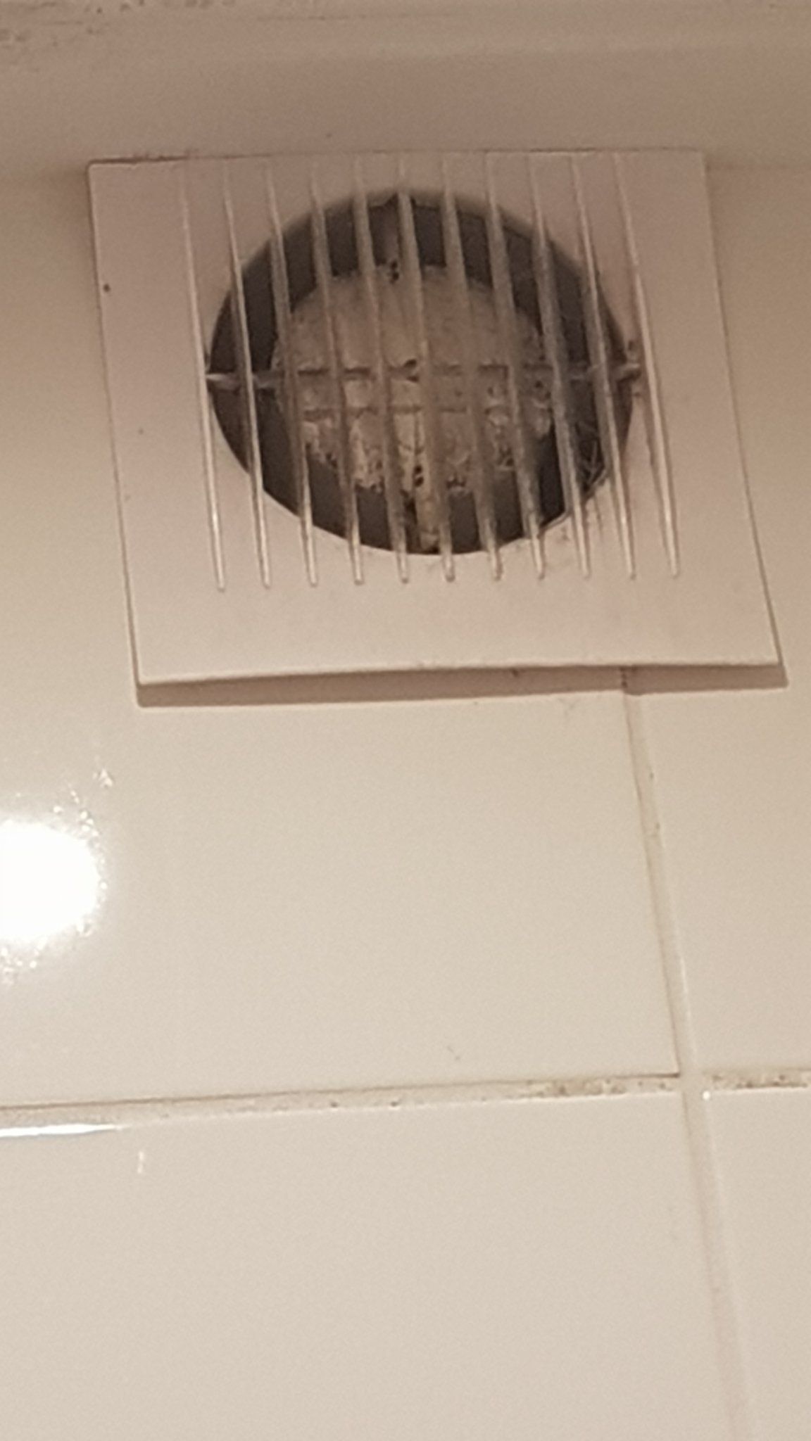 Ventilatie Reinigen Badkamer En Wc Werkspot