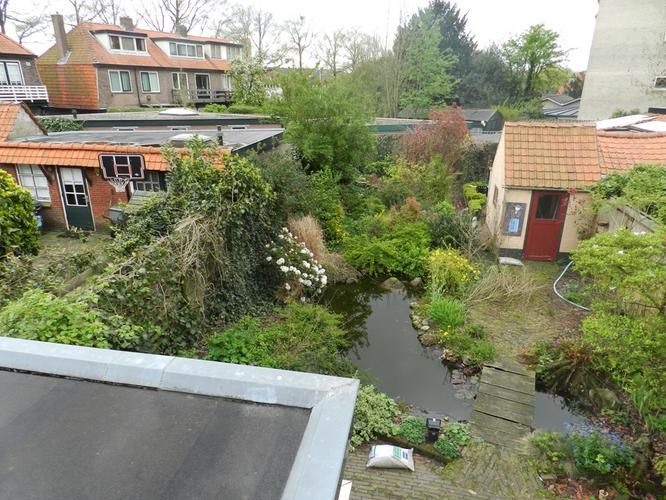 Tuin egaliseren, wortels coniferen weghalen, vijver verwijderen ter