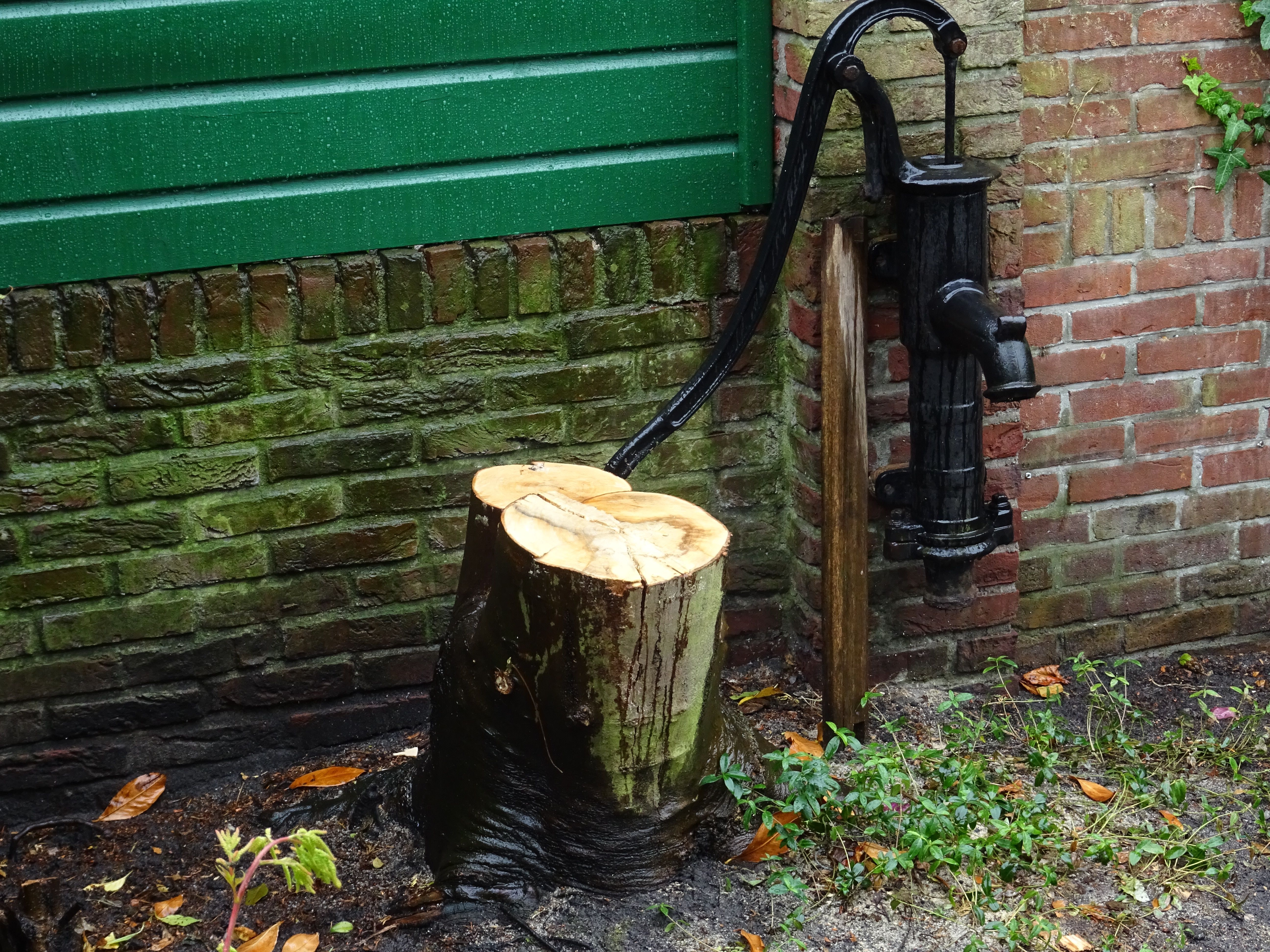 Tuin: Boomstronk Verwijderen; 2 Bomen - Werkspot