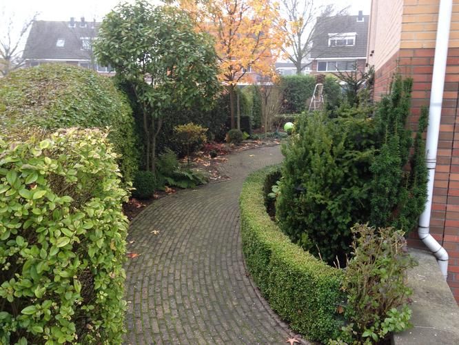 Bestraten / tuin inrichten Werkspot