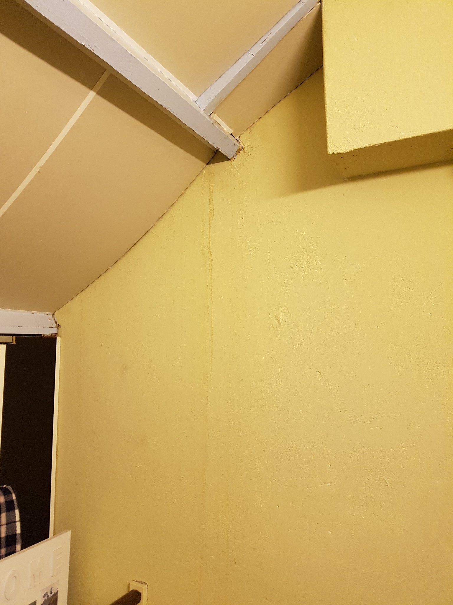 Waterschade Plafond En Muur Herstellen - Werkspot