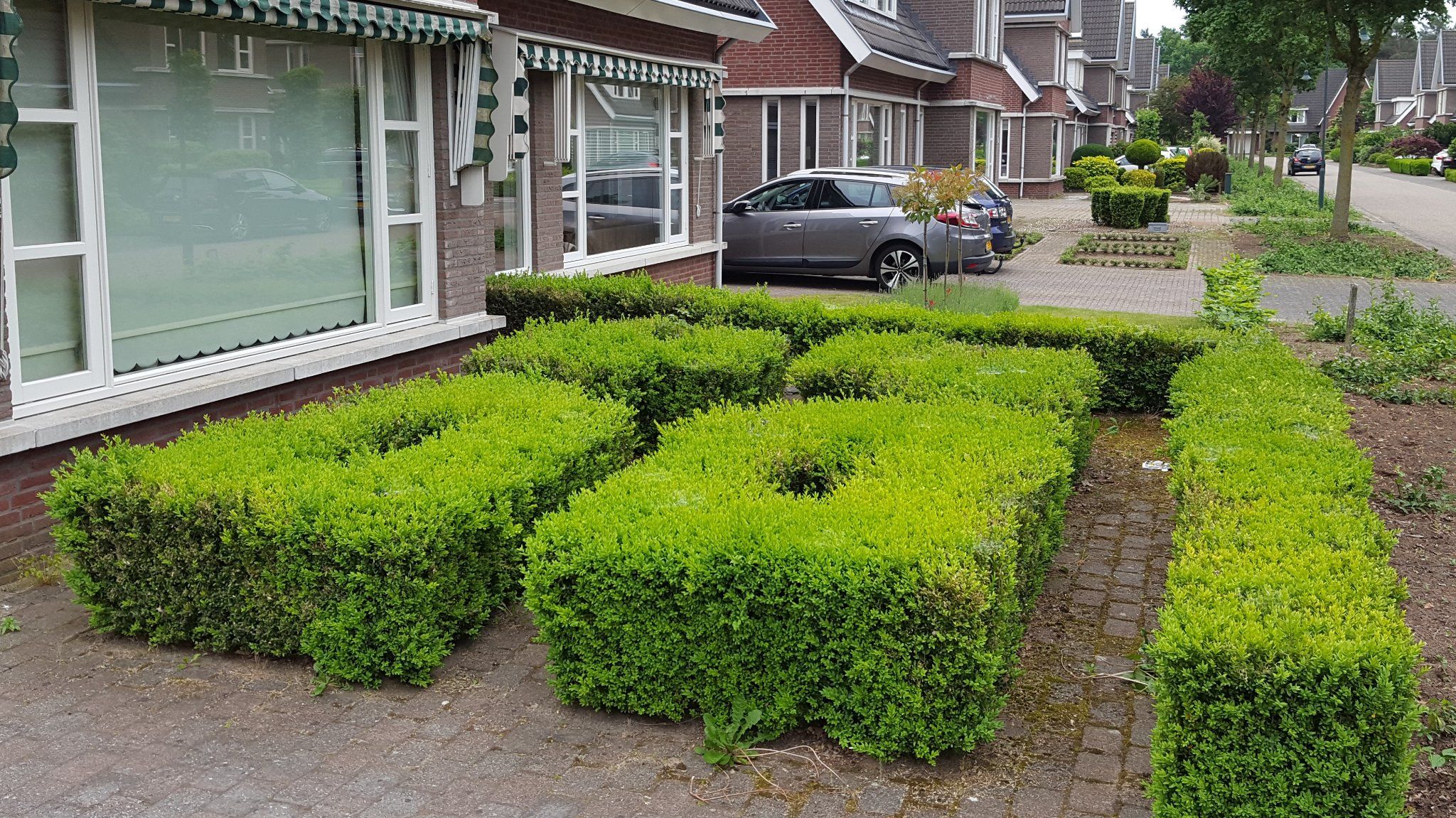 Snoeien buxus hegjes voortuin Werkspot