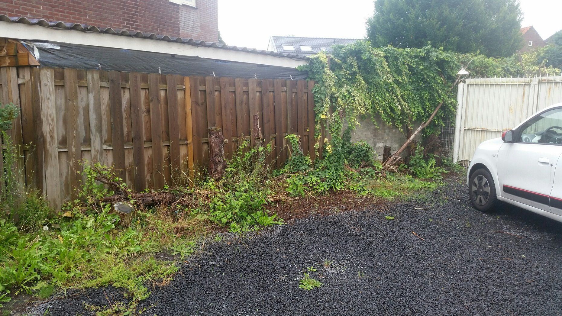 opknappen tuin (verwijderen beplanting) Werkspot