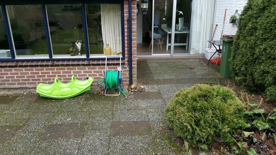 terras tegels leggen 60x60 Werkspot