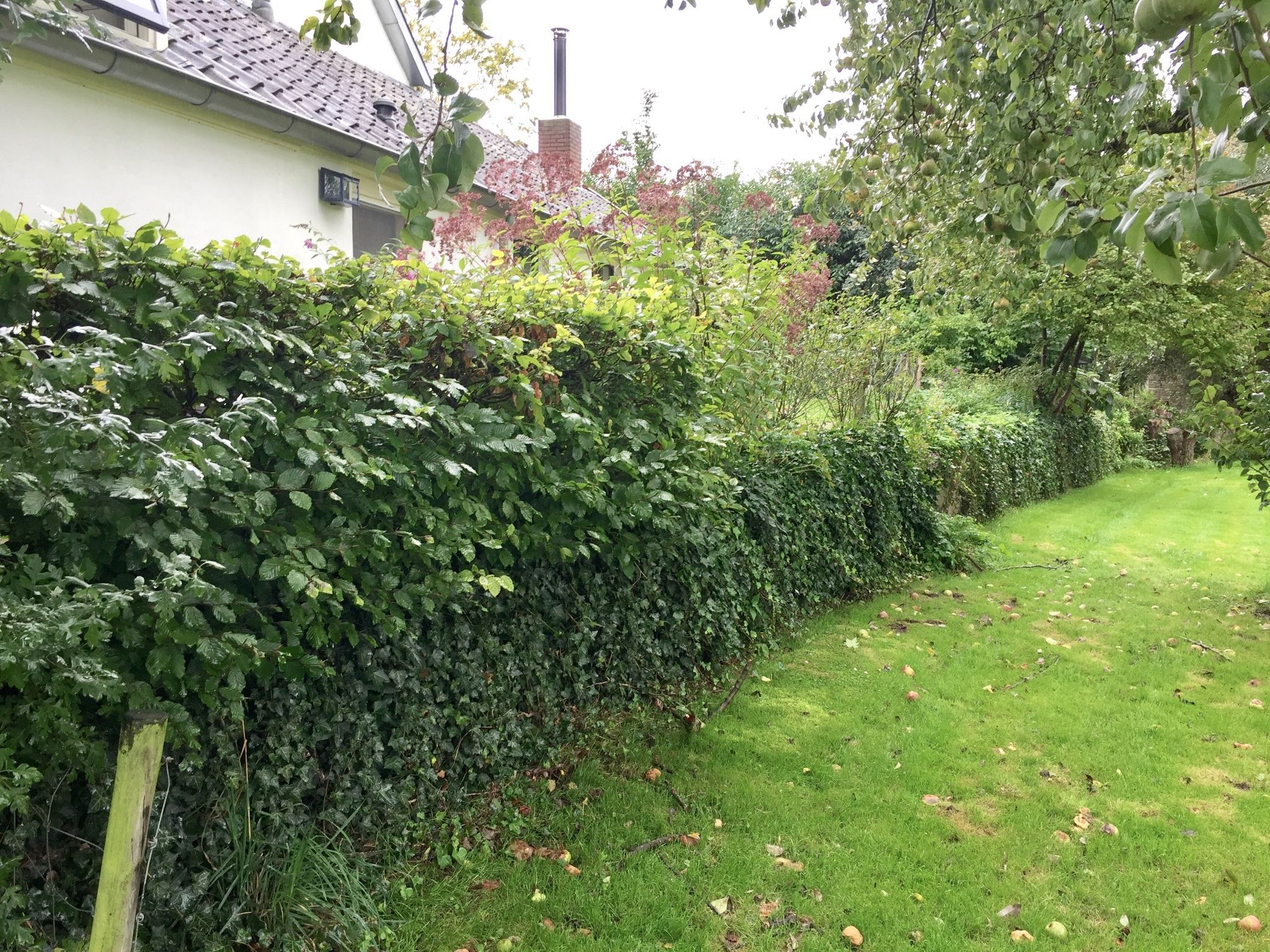 Keerwand van 20m plaatsen in tuin, oude keerwand/beschoeiing vervangen