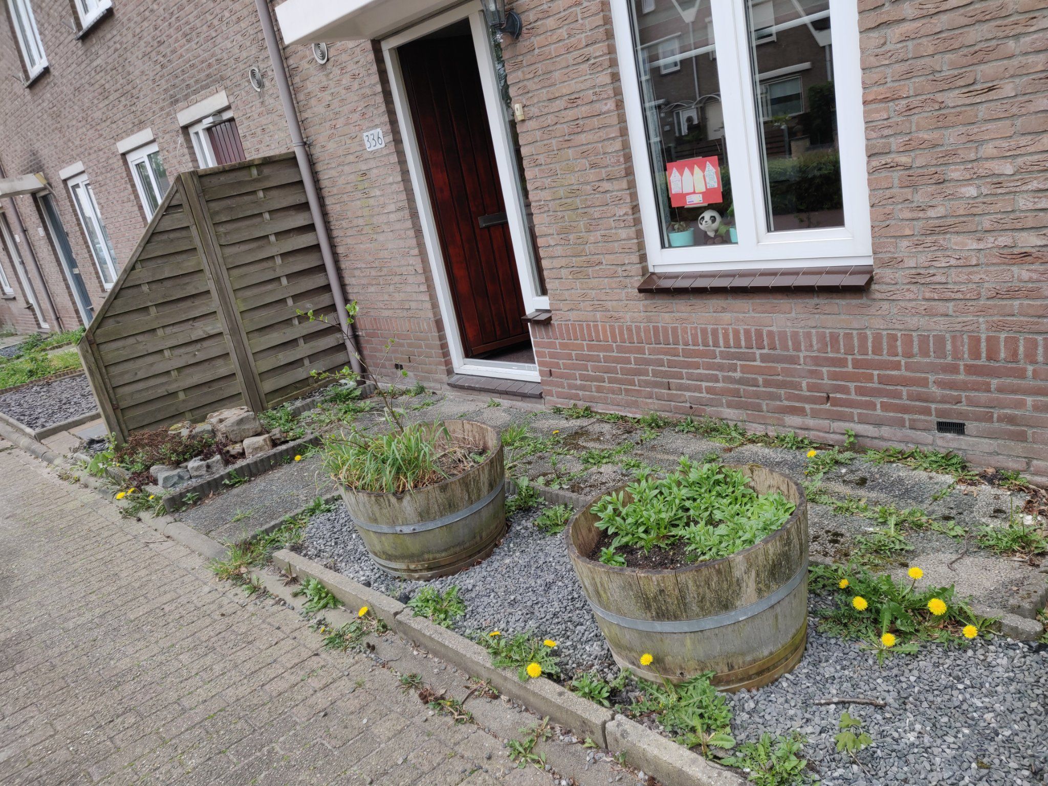 Tuin aanleggen 12 m2; Nieuwe tuin aanleggen, Bestaande tuin vervangen