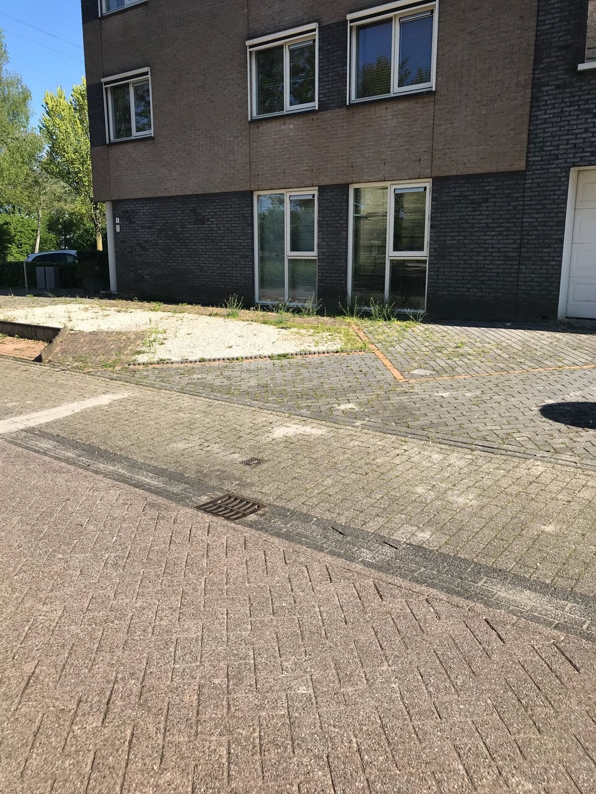 tuin onkruidvrij maken en houden Werkspot