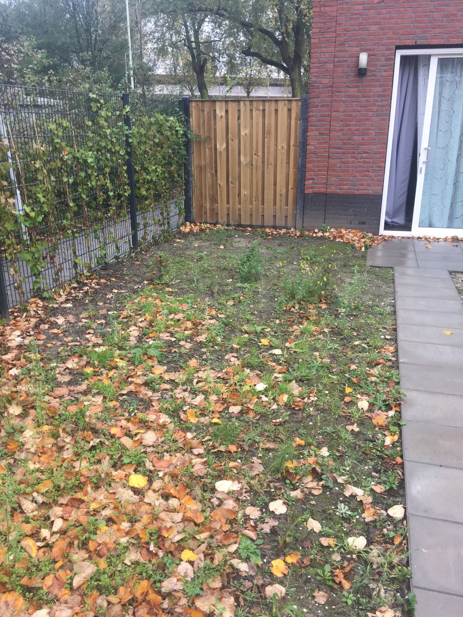 Tuin betegelen Werkspot